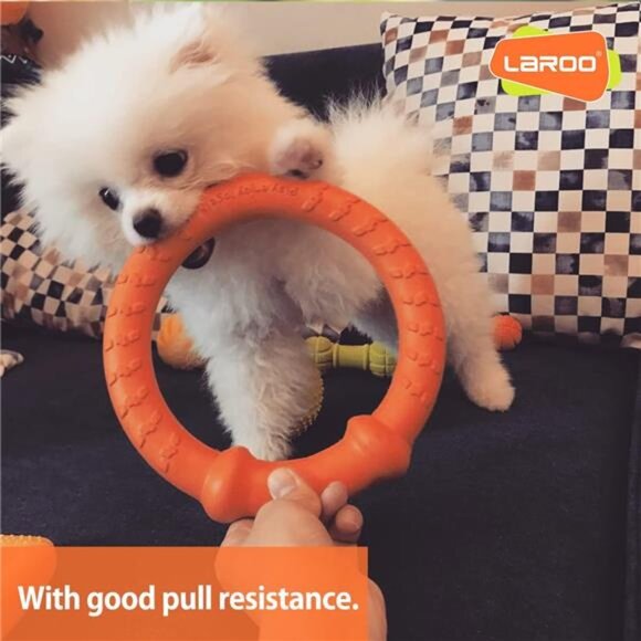 Dog Flying Ring Toys, Floating Flying Dog Disc Toys, Summer Pet Training Outdoor - Picture 4 of 8